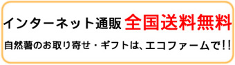 インターネット通販全国送料無料