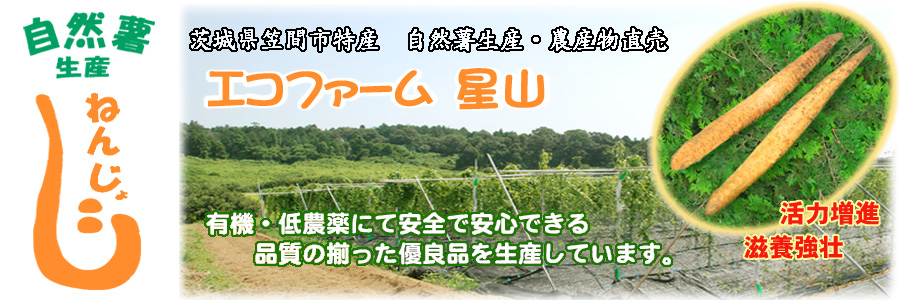 エコファーム星山