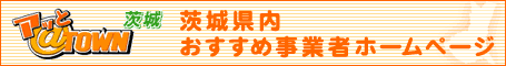 ��錧�̃z�[���y�[�W�쐬�E���Ǝ҃|�[�^���F�A�b�ƃ^�E�����